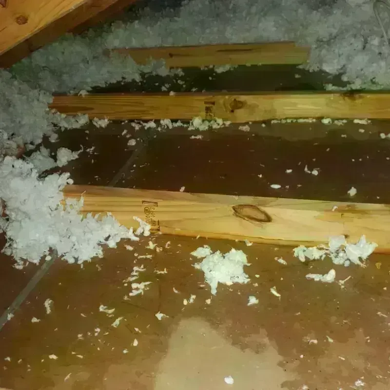 Attic Water Damage in Villas, FL