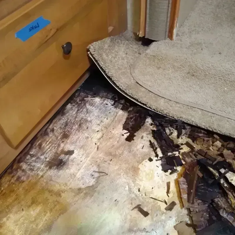 Wood Floor Water Damage in Villas, FL